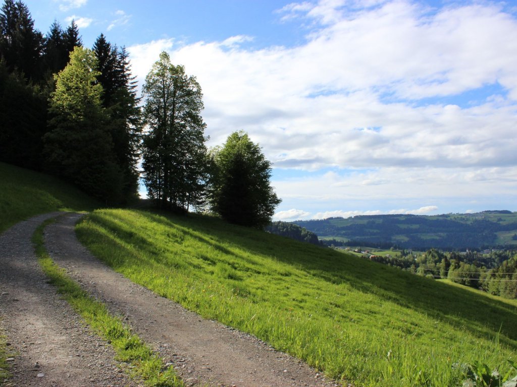 Themenweg Rotenberg-Wald in Lingenau